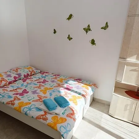Durdica 1228 Pavicini